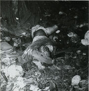 DeadJapaneseJan43