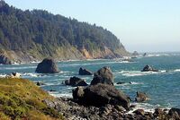 Redwood coast