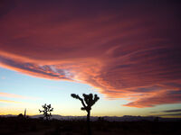 Desert Diablo