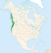 Alnus rubra range map