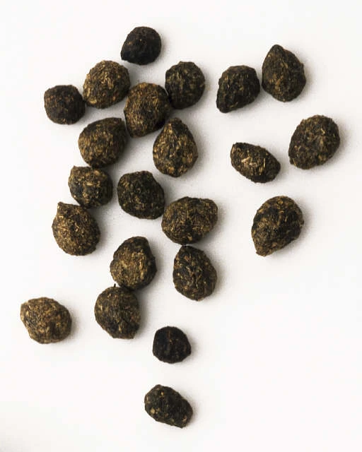 Rabbit Poop Bunnypedia, The Rabbit Wiki FANDOM powered by Wikia