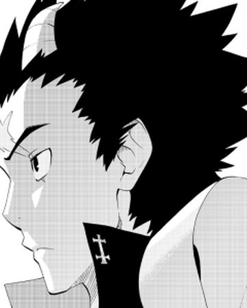 Piodon Radiant Wiki Fandom