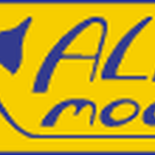 alfa models rc planes