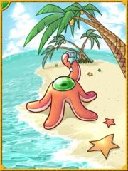 Card aster