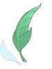 Folha aloe