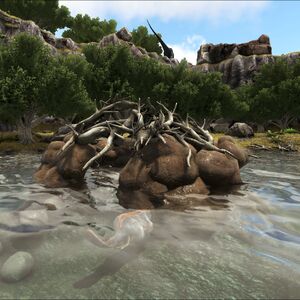 Beaver Sanctuary | Ragnarok - ARK:Survival Evolved Map Wiki | Fandom