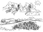 Fairyland