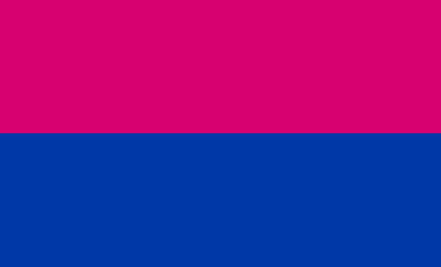 File:Cisgender flag.jpeg