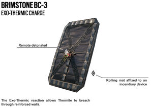Thermite exothermic charge