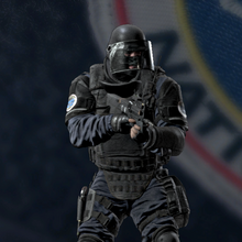 Rook Rainbow Six Wiki Fandom
