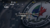 Weapon Skins Rainbow Six Wiki Fandom Powered By Wikia