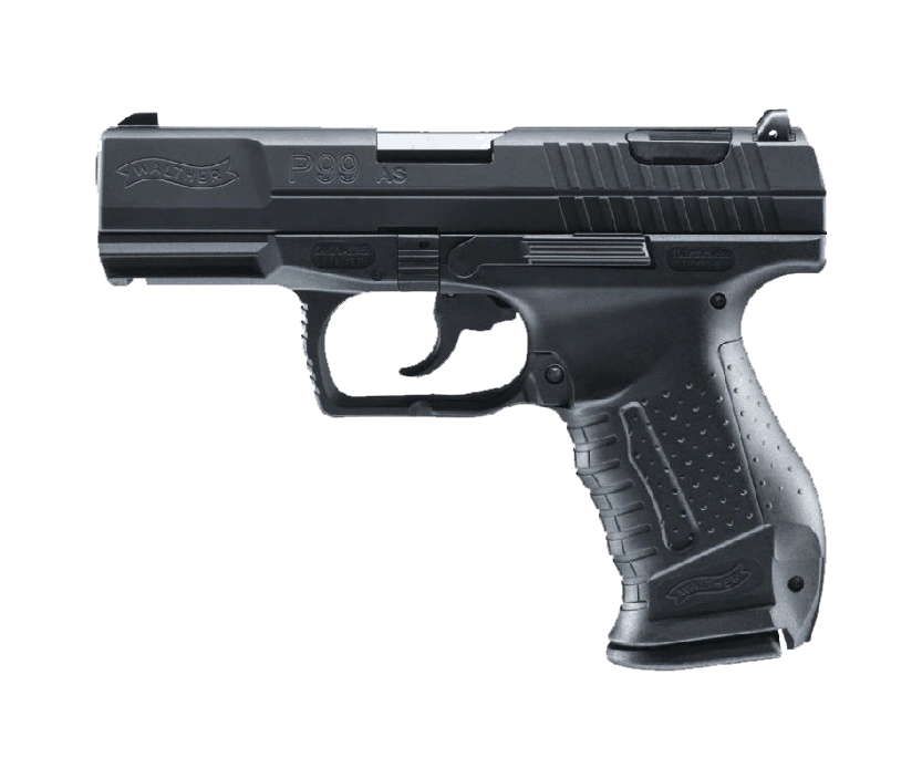 P99 Rainbow Six Wiki Fandom