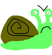 Jake