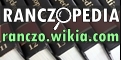 Baner