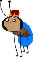 Mini king