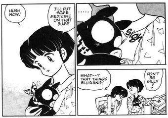 Akane Ryoga Relationship Ranma Wiki Fandom