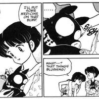 Akane Ryoga Relationship Ranma Wiki Fandom
