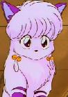 Shampoo als Katze