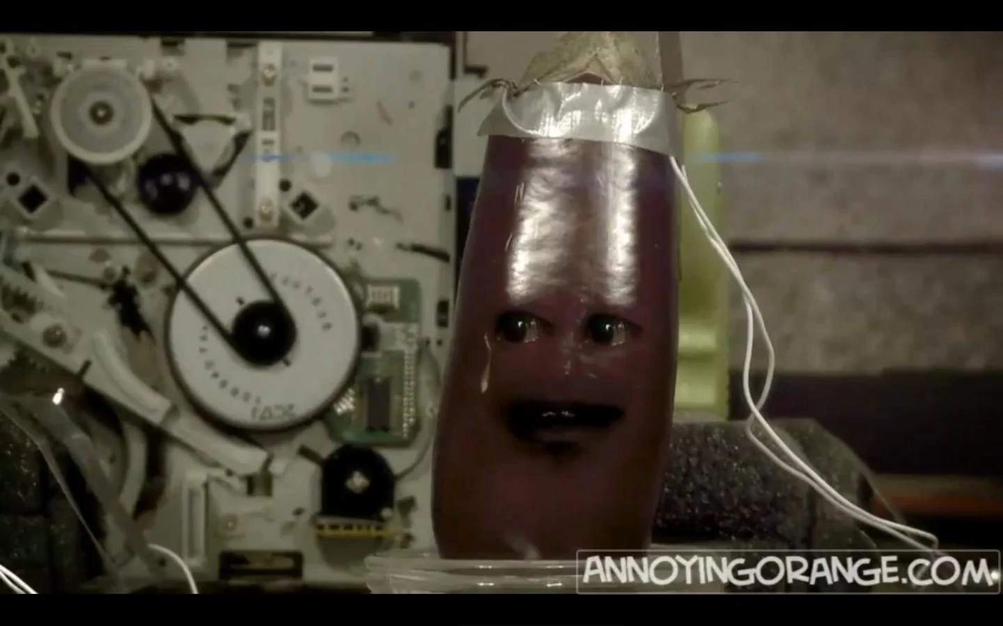 Eggplant The Annoying Orange Wiki FANDOM powered by Wikia