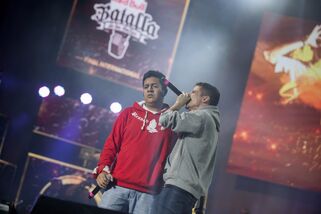 SKONEVSJOTA2016