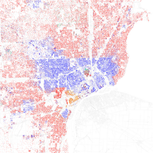 FischerDetroit2010Census