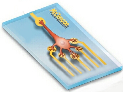 Biosistor2