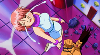 Go punches Rosa