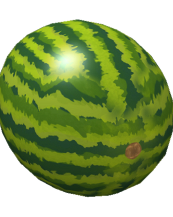 Roblox Watermelon Shirt