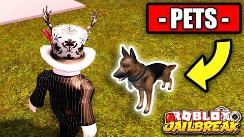 Video Jailbreak Pets Update Robbable Pet Shop How To - 