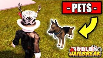 donut the dog roblox vehicle simulator User Blog Thegmaster1 New Pet Shop Robbery Idea Jailbreak Wiki