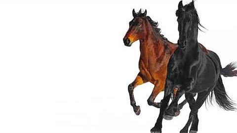 Video Lil Nas X Old Town Road Feat Billy Ray Cyrus - 