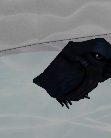 Raven Roblox Snow Shoveling Simulator Wiki Fandom