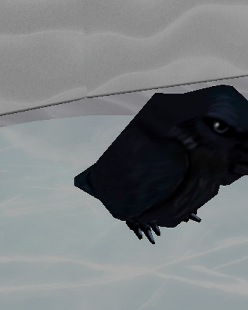 Raven Roblox Snow Shoveling Simulator Wiki Fandom - snow shoveling simulator roblox snow shoveling simulator wiki fandom