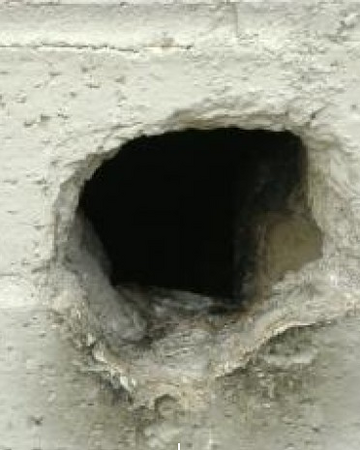 Scp 1162 Rbreach Wiki Fandom