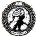 Iconopulsos