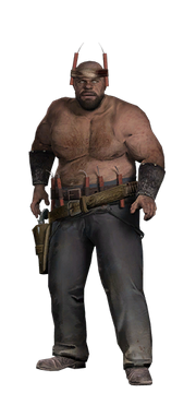 Pigjosh