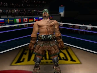 ready 2 rumble boxing