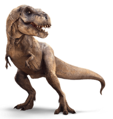 rexy dino a little t rex