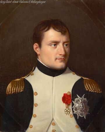 Napoleon Bonaparte Real Life Heroes Wiki Fandom