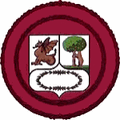 Escudoaytomadrid 1