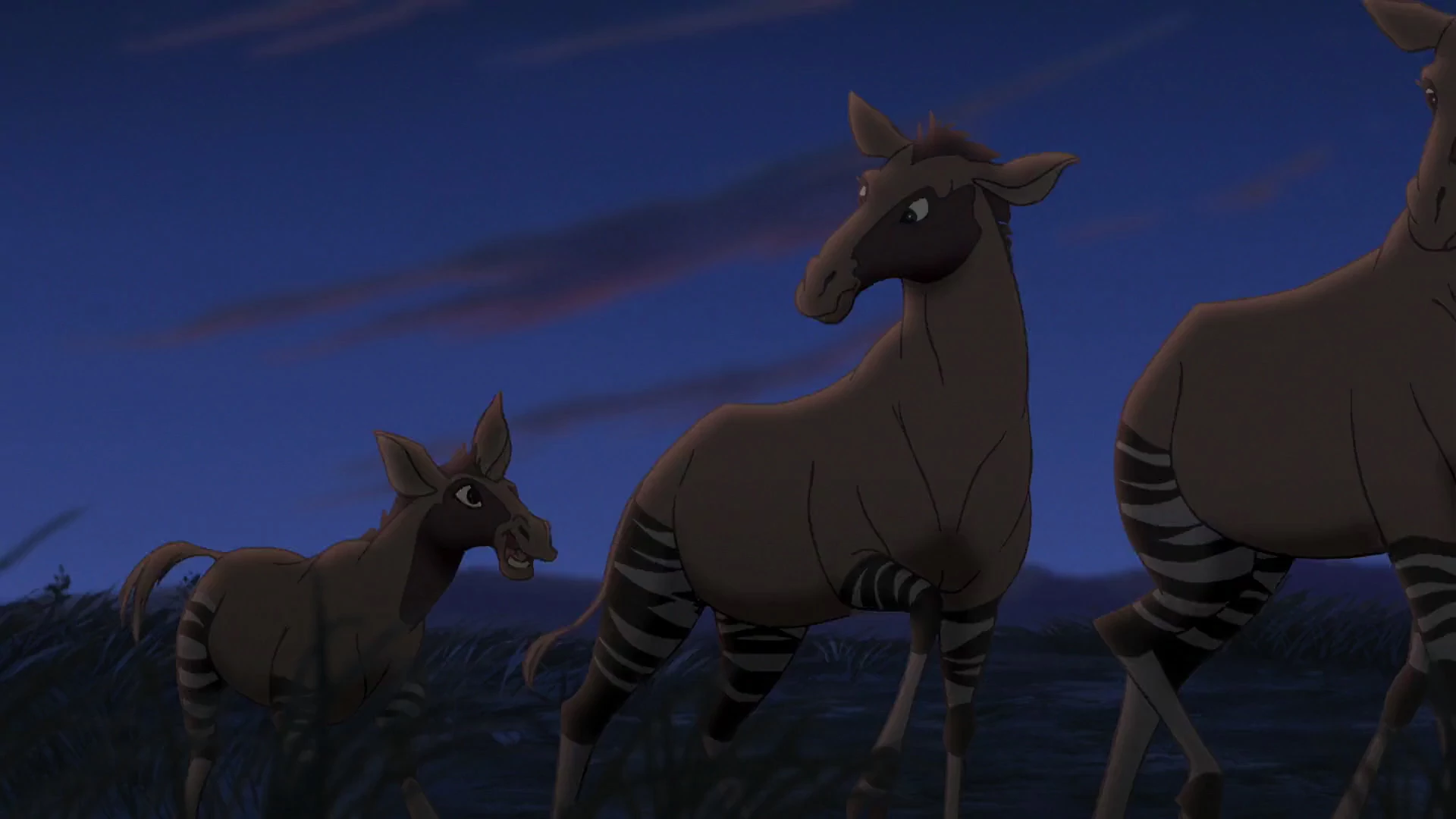 Okapi | Animals Wiki | Fandom