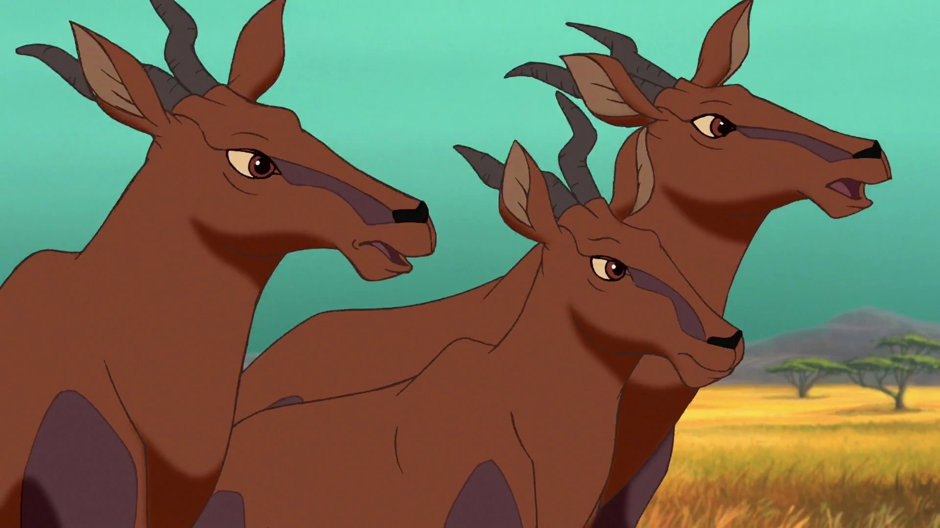 Topi | Animals Wiki | Fandom