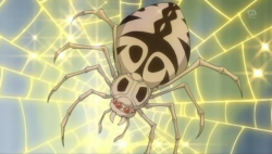 Araña de sol