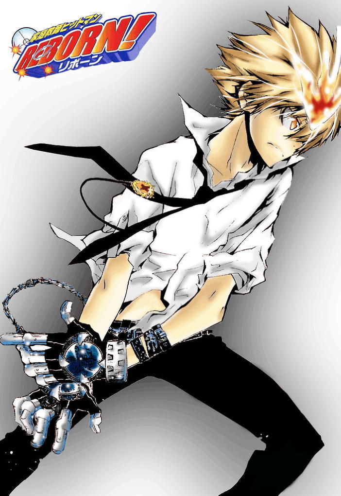 Image - Tsuna-kun-katekyo-hitman-reborn-5804419-702-1020.jpg | Reborn ...
