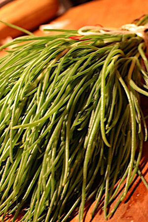 Monks beard