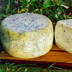 CaciottaCheese