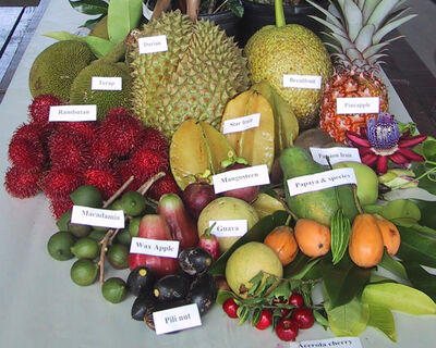 Fruitpage4