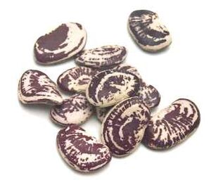 Christmas lima beans