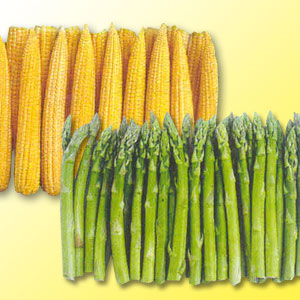 BabyCorn