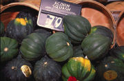 Acornsquash